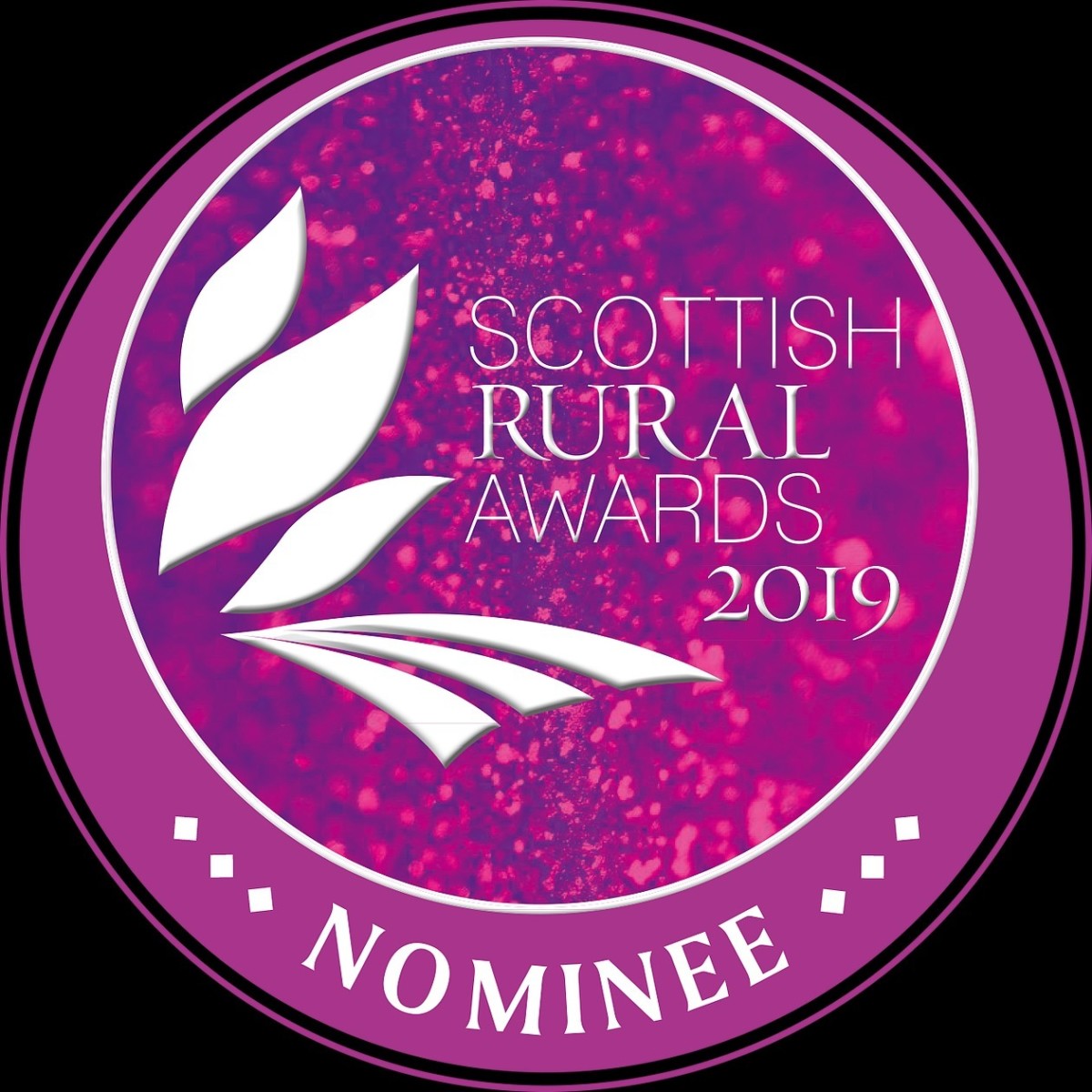 Rural Youth Project finalist of Prestigious Award